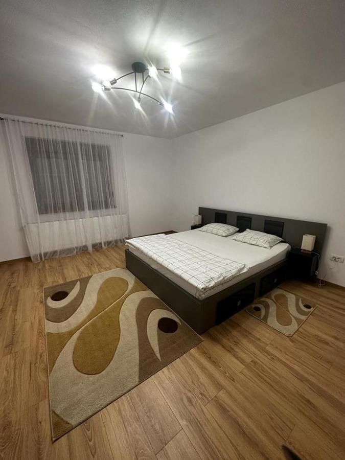 Emanuela Apartments Pecica Экстерьер фото