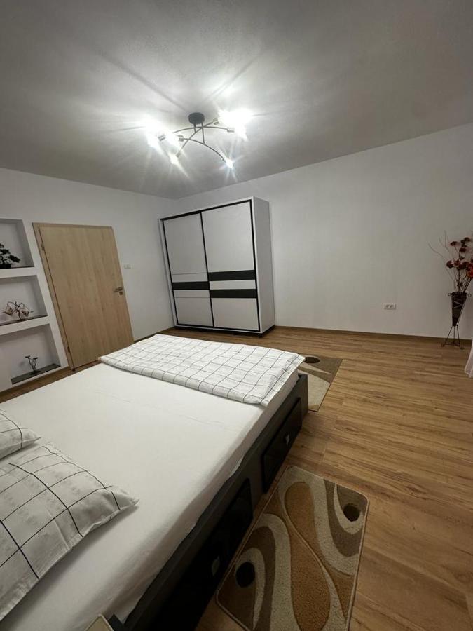 Emanuela Apartments Pecica Экстерьер фото