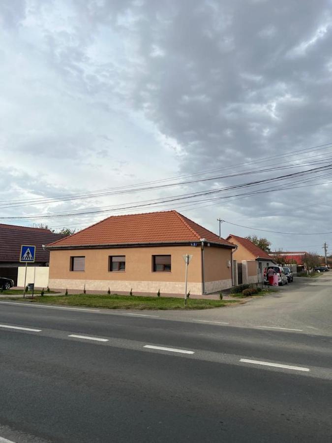Emanuela Apartments Pecica Экстерьер фото